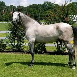 Meet your Posher, Linda